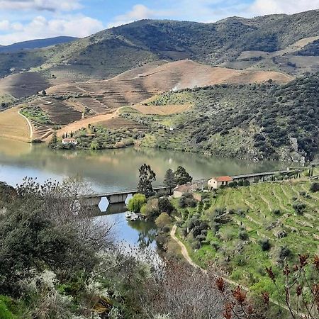 Affittacamere Quinta Da Ferradosa Wines São João da Pesqueira Esterno foto