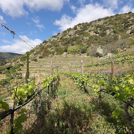 Affittacamere Quinta Da Ferradosa Wines São João da Pesqueira Esterno foto