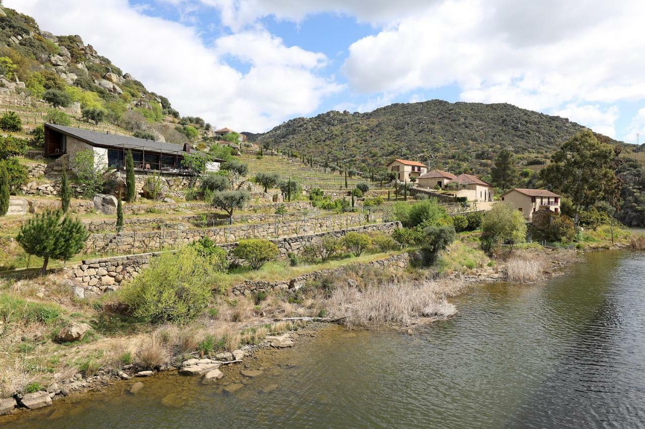 Affittacamere Quinta Da Ferradosa Wines São João da Pesqueira Esterno foto