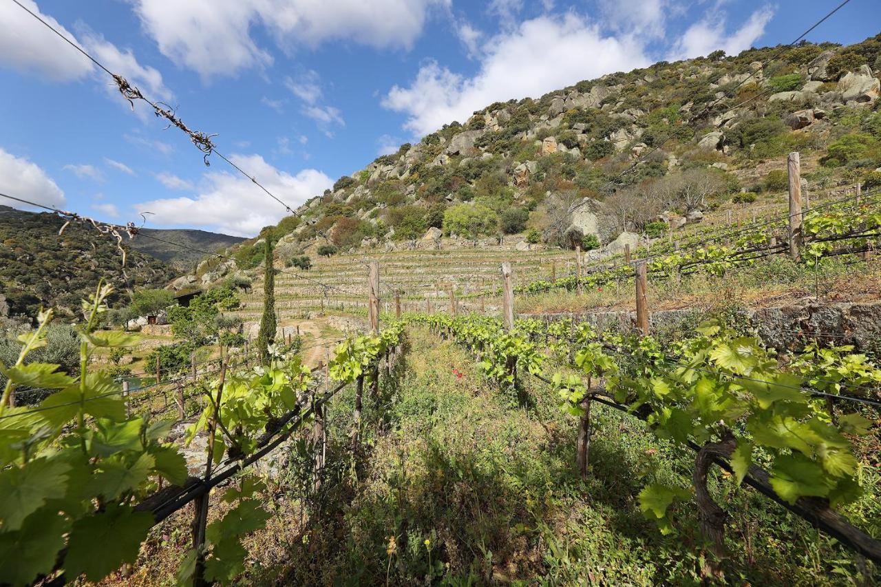 Affittacamere Quinta Da Ferradosa Wines São João da Pesqueira Esterno foto