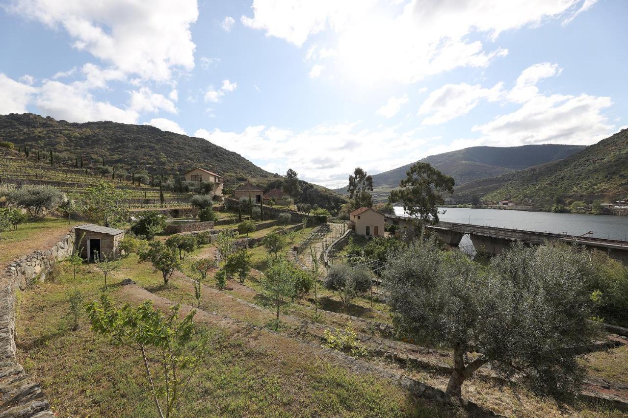 Affittacamere Quinta Da Ferradosa Wines São João da Pesqueira Esterno foto