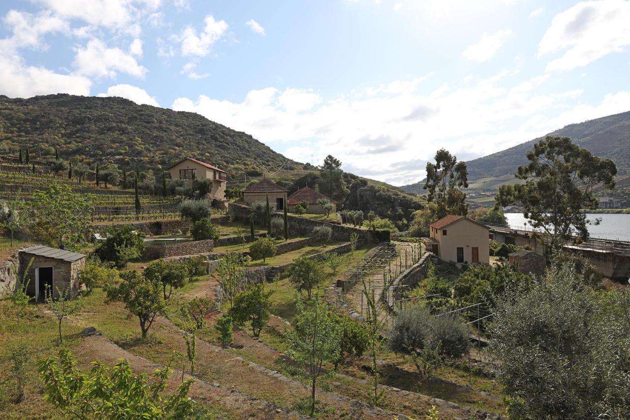 Affittacamere Quinta Da Ferradosa Wines São João da Pesqueira Esterno foto
