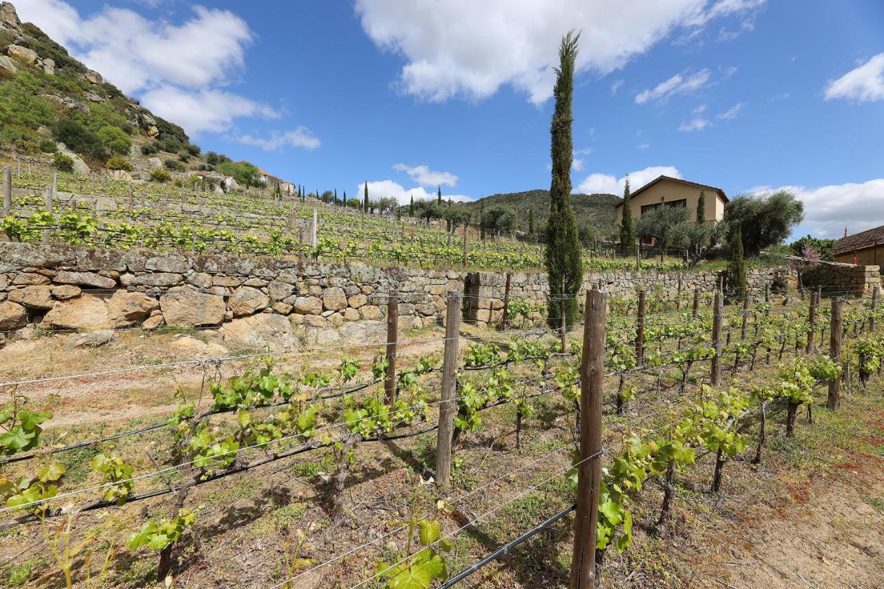 Affittacamere Quinta Da Ferradosa Wines São João da Pesqueira Esterno foto
