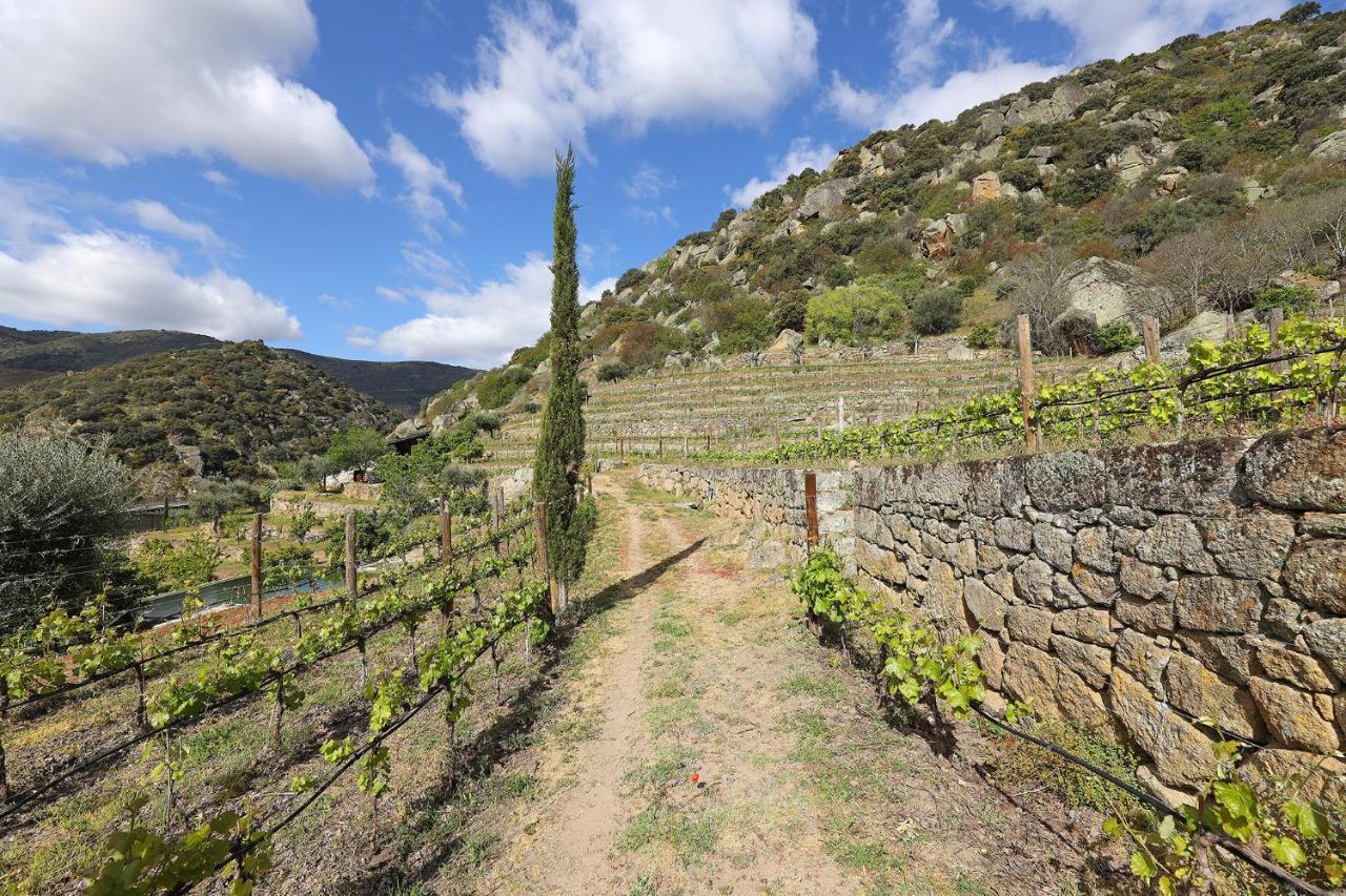Affittacamere Quinta Da Ferradosa Wines São João da Pesqueira Esterno foto